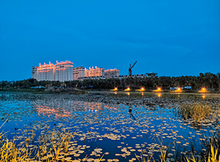 西海濕地公園夜景