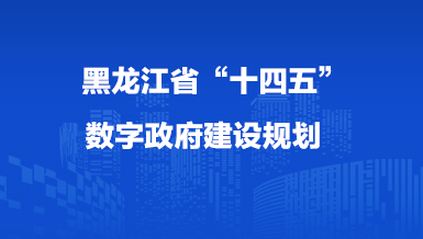 黑龍江省“十四五”數(shù)字政府建設(shè)規(guī)劃