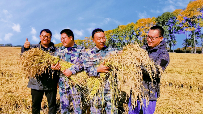 北大荒集團江川農(nóng)場處處洋溢豐收的笑臉。李偉華攝 