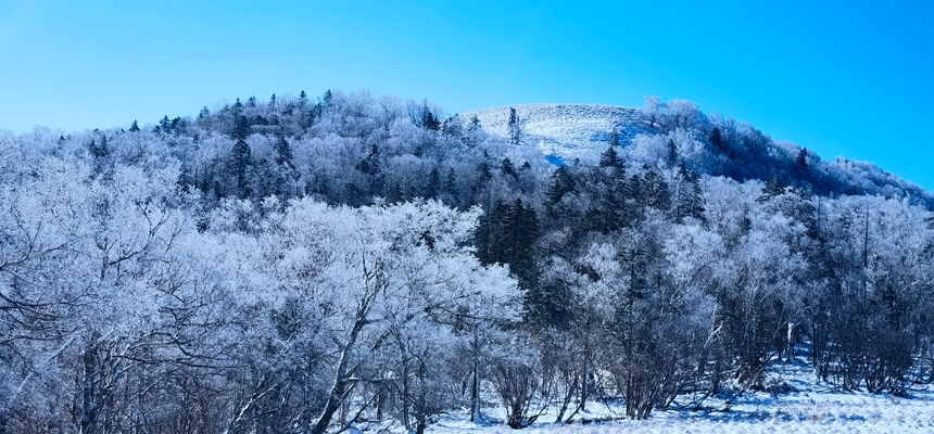 黑龍江亞雪公路迎入秋最大降雪?冰雪畫廊一步一景