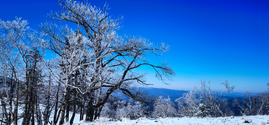 黑龍江亞雪公路迎入秋最大降雪?冰雪畫廊一步一景