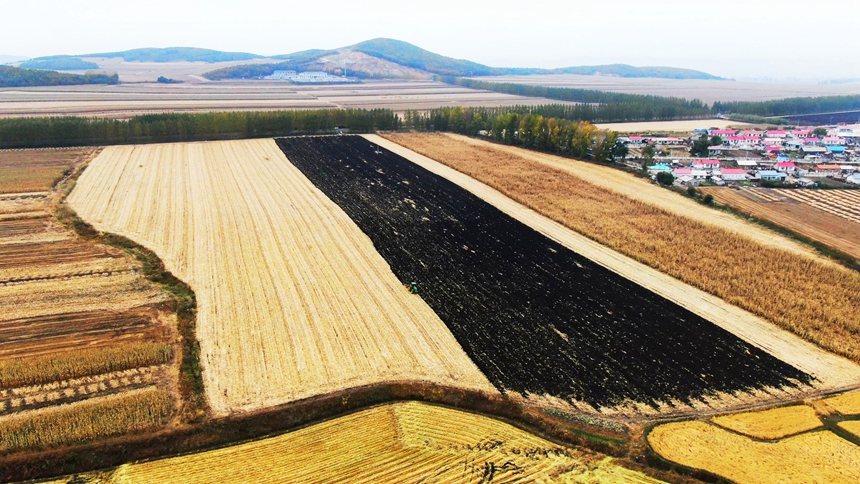 黑龍江寶清縣秋整地進行時?為土地“黑色越冬”做準備