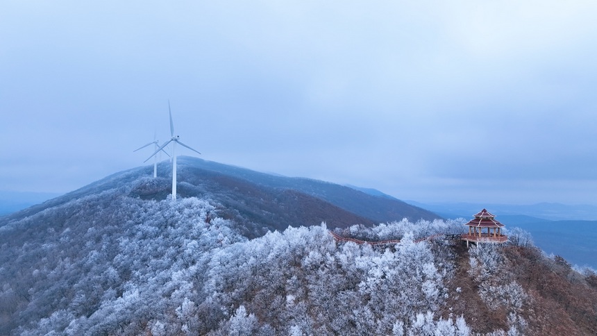 黑龍江饒河：大頂子山銀裝素裹 雪景如畫