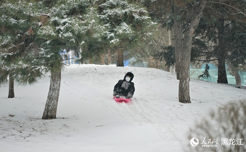 哈爾濱迎春雪 市民暢玩樂趣多