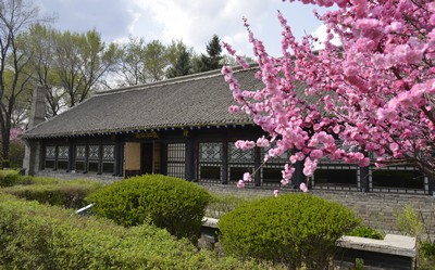 東北文學(xué)之旅打卡地·蕭紅故居