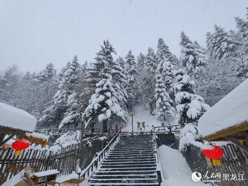 雪迎八方客 中國(guó)雪鄉(xiāng)正式開園