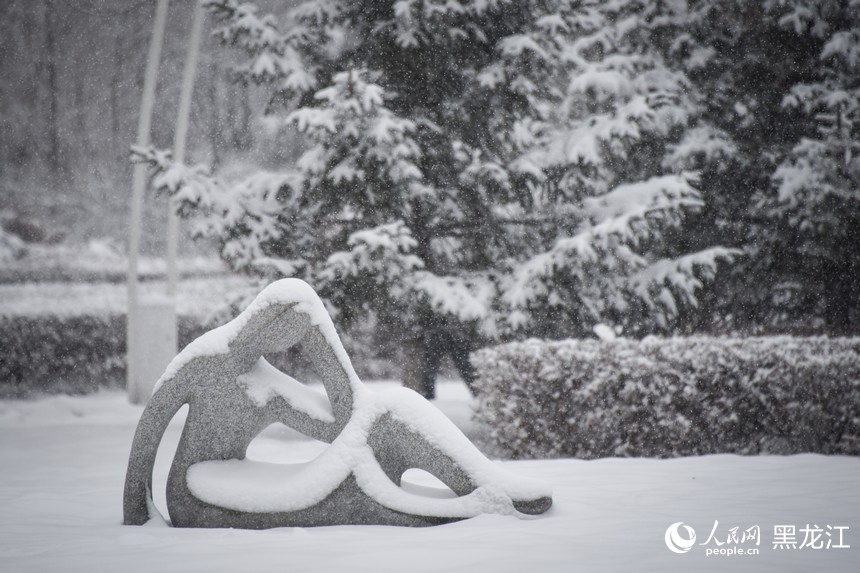 11月22日，哈爾濱市出現(xiàn)降雪天氣。人民網(wǎng)記者 蘇靖剛攝