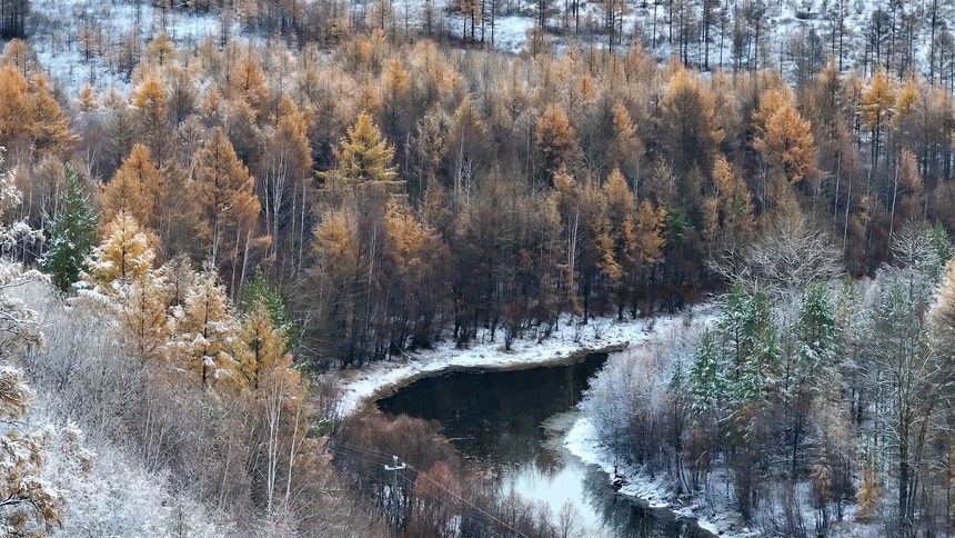 黑龍江漠河：冷空氣帶來降雪 秋冬兩季美景同現(xiàn)