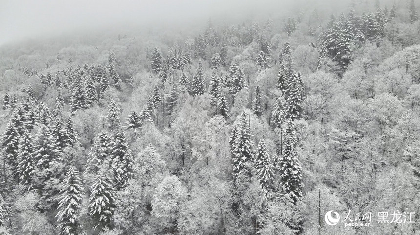 中國(guó)雪鄉(xiāng)景區(qū)迎來(lái)今秋首場(chǎng)降雪